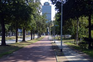 1920px-Erasmusgebouw_Erasmusplein_1_Radboud_Universiteit_Nijmegen_gezien_vanaf_Heyendaalseweg